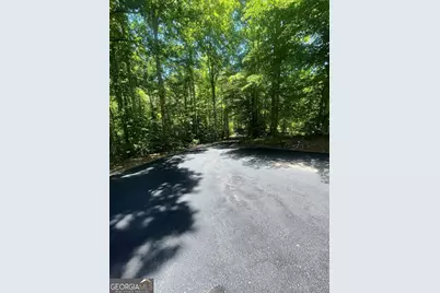197 Blacks Mill Court, Dawsonville, GA 30534 - Photo 101