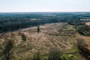 119A Ralph Bridges Rd, Lexington, GA 30648 - Photo 75