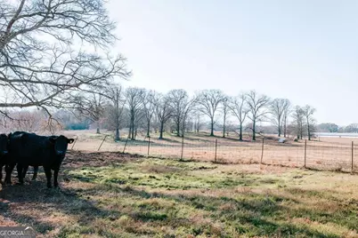 119A Ralph Bridges Road, Lexington, GA 30648 - Photo 19