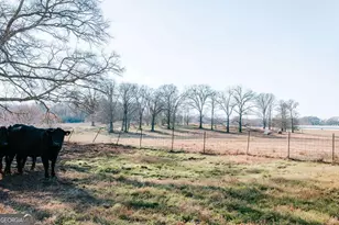 119A Ralph Bridges Rd, Lexington, GA 30648 - Photo 19