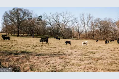 119A Ralph Bridges Road, Lexington, GA 30648 - Photo 5
