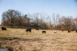 119A Ralph Bridges Rd, Lexington, GA 30648 - Photo 5