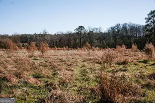 119A Ralph Bridges Rd, Lexington, GA 30648 - Photo 63