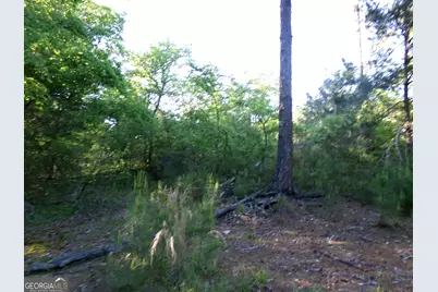 3905 Georgia Highway 138, Covington, GA 30014 - Photo 19