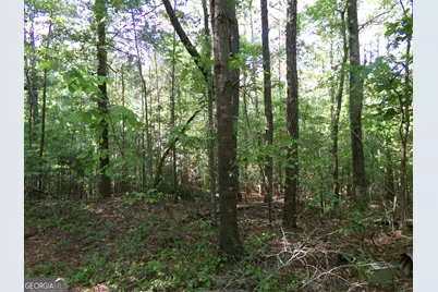 3905 Georgia Highway 138, Covington, GA 30014 - Photo 13