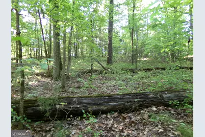 3905 Georgia Highway 138, Covington, GA 30014 - Photo 23