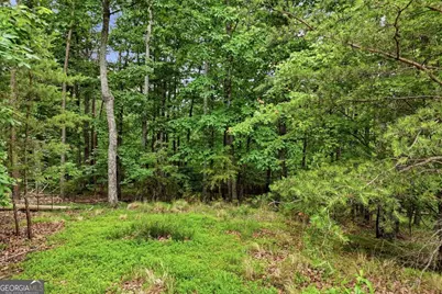 0 Owl Ridge Way, Jasper, GA 30143 - Photo 7