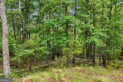 0 Owl Ridge Way, Jasper, GA 30143 - Photo 7