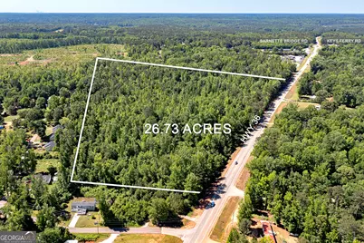 0 E Highway 36, Jackson, GA 30233 - Photo 3
