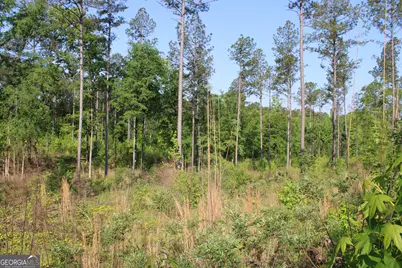 0 Ga Hwy 87 Tract 1, Forsyth, GA 31029 - Photo 3
