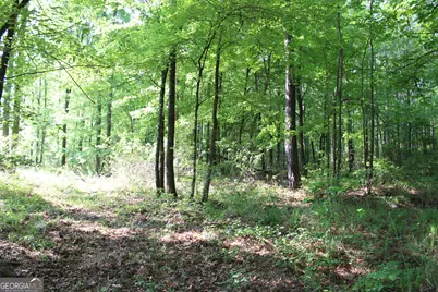0 Ga Hwy 87 Tract 1, Forsyth, GA 31029 - Photo 1