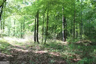 0 Ga Hwy 87 Tract 1, Forsyth, GA 31029 - Photo 1