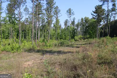 0 Ga Hwy 87 Tract 1, Forsyth, GA 31029 - Photo 11