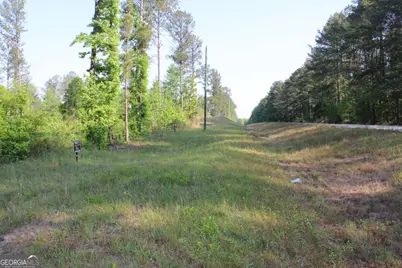 0 Ga Hwy 87 Tract 1, Forsyth, GA 31029 - Photo 5