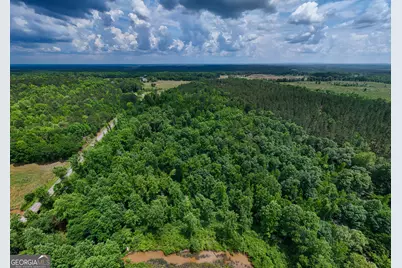 0 Adams Road, West Point, GA 31833 - Photo 9