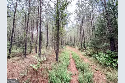 0 Goolsby Road #52.4 ACRES, Monticello, GA 31064 - Photo 19