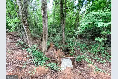 0 Goolsby Road #52.4 ACRES, Monticello, GA 31064 - Photo 13