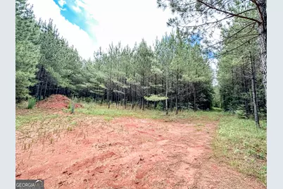 0 Goolsby Road #52.4 ACRES, Monticello, GA 31064 - Photo 17