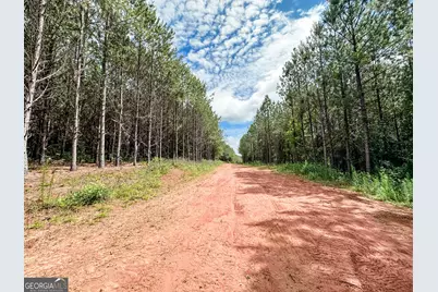 0 Goolsby Road #52.4 ACRES, Monticello, GA 31064 - Photo 9