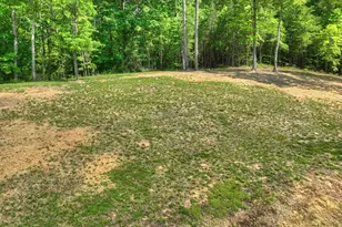 2113 Turniptown Rd, Ellijay, GA 30536 - Photo 7