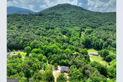 2113 Turniptown Road, Ellijay, GA 30536 - Photo 3