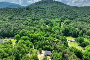 2113 Turniptown Rd, Ellijay, GA 30536 - Photo 3