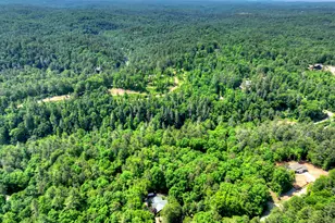 141 Gallery Ct, Ellijay, GA 30540 - Photo 57