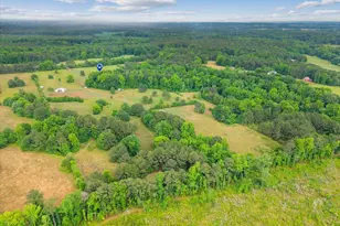 2011 Fieldcrest Ln, Madison, GA 30650 - Photo 47