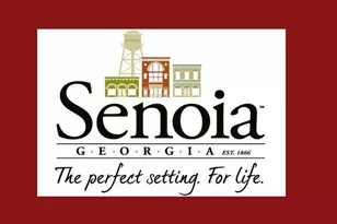 124 Ryeland Dr, Senoia, GA 30276 - Photo 71