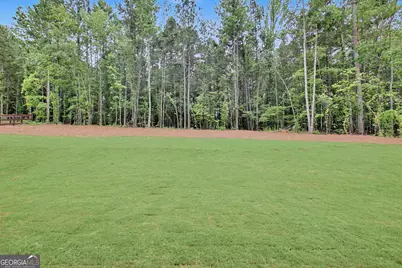 124 Ryeland Drive, Senoia, GA 30276 - Photo 69