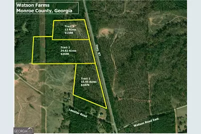 000 Hwy 87 Tract 3, Forsyth, GA 31029 - Photo 11