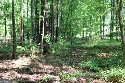 000 Hwy 87 Tract 3, Forsyth, GA 31029 - Photo 3
