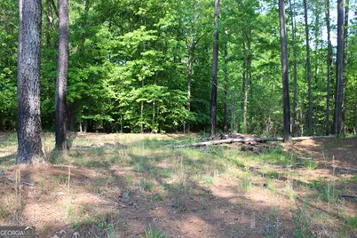 000 Hwy 87 Tract 3, Forsyth, GA 31029 - Photo 1