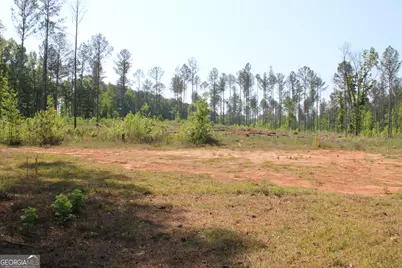 000 Hwy 87 Tract 3, Forsyth, GA 31029 - Photo 9