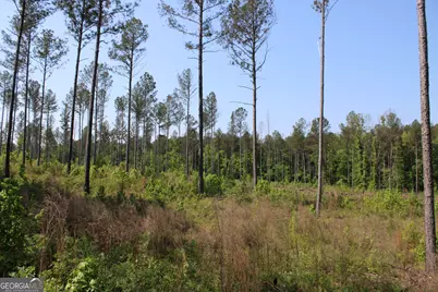 000 Hwy 87 Tract 3, Forsyth, GA 31029 - Photo 7