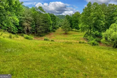 20.11 Ac Mountain View Road, McCaysville, GA 30555 - Photo 45