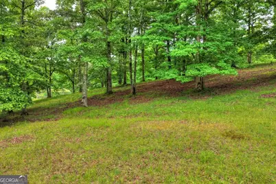 20.11 Ac Mountain View Road, McCaysville, GA 30555 - Photo 35