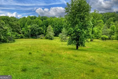 20.11 Ac Mountain View Road, McCaysville, GA 30555 - Photo 7