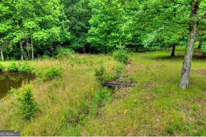 20.11 Ac Mountain View Road, McCaysville, GA 30555 - Photo 35
