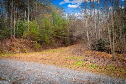 208 Bullen Gap Road, Blue Ridge, GA 30513 - Photo 47