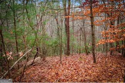 208 Bullen Gap Road, Blue Ridge, GA 30513 - Photo 53