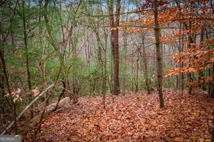 208 Bullen Gap Rd, Blue Ridge, GA 30513 - Photo 53