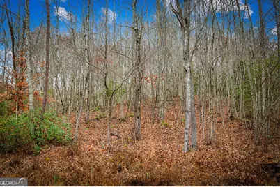 208 Bullen Gap Road, Blue Ridge, GA 30513 - Photo 55