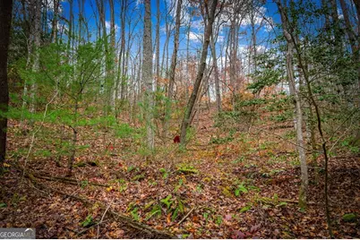 208 Bullen Gap Road, Blue Ridge, GA 30513 - Photo 51