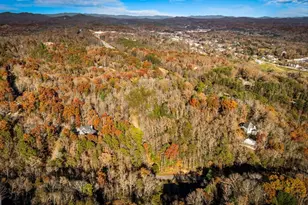 208 Bullen Gap Rd, Blue Ridge, GA 30513 - Photo 5