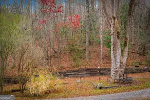 208 Bullen Gap Rd, Blue Ridge, GA 30513 - Photo 49