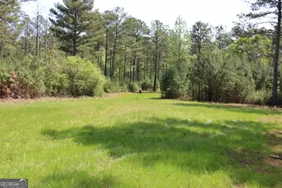00 Ruffner Road, Barnesville, GA 30204 - Photo 35
