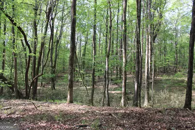 00 Ruffner Road, Barnesville, GA 30204 - Photo 27