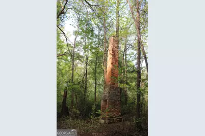 00 Ruffner Road, Barnesville, GA 30204 - Photo 17