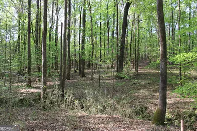 00 Ruffner Road, Barnesville, GA 30204 - Photo 29